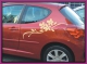 Thumbnail Autoaufkleber